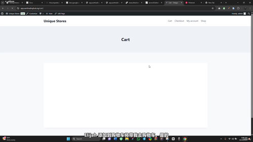 轻松掌握WooCommerce——从零到上线，搭建你的独立在线商店 (英文课程中文字幕)