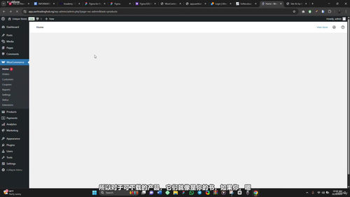 轻松掌握WooCommerce——从零到上线，搭建你的独立在线商店 (英文课程中文字幕)