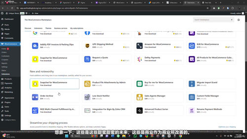 轻松掌握WooCommerce——从零到上线，搭建你的独立在线商店 (英文课程中文字幕)