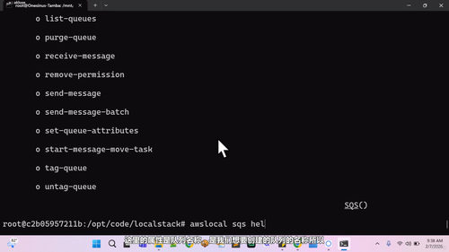 AWS LocalStack实战：本地搭建与测试云服务 (英文课程中文字幕)