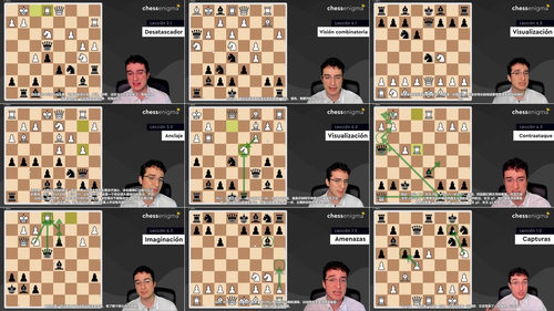 制胜计算术——国际象棋特级大师米格尔·桑托斯主讲 (英文课程中文字幕)
