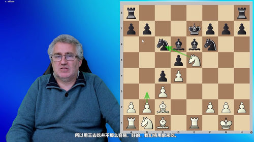 活力阿列金西西里防御 - 国际大师阿方索·赫雷兹讲授 (英文课程中文字幕)
