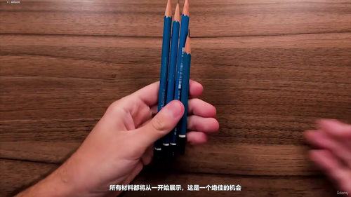 石墨写实毛发与胡须手绘技法 (英文课程中文字幕)