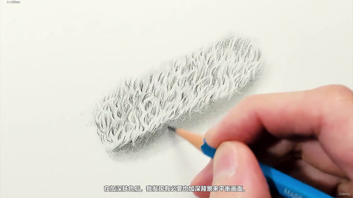 石墨写实毛发与胡须手绘技法 (英文课程中文字幕)