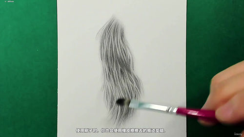 石墨写实毛发与胡须手绘技法 (英文课程中文字幕)