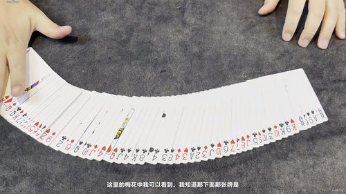 纸牌魔术新手完全指南 (英文课程中文字幕)