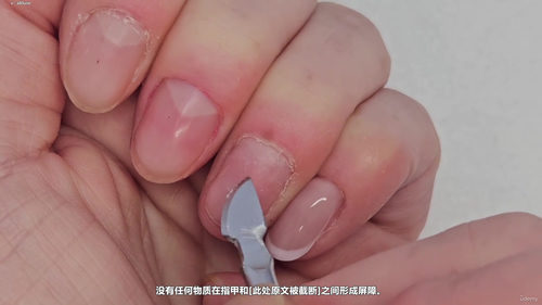 美甲甲油胶全流程精通教程：从前期准备到完美成品 (英文课程中文字幕)