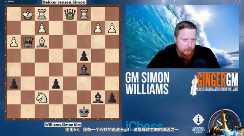 国际象棋进阶实战：西蒙·威廉姆斯攻防策略精讲 (英文课程中文字幕)