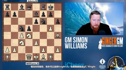 国际象棋进阶实战：西蒙·威廉姆斯攻防策略精讲 (英文课程中文字幕)