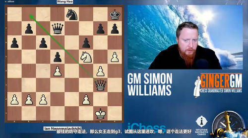 国际象棋进阶实战：西蒙·威廉姆斯攻防策略精讲 (英文课程中文字幕)