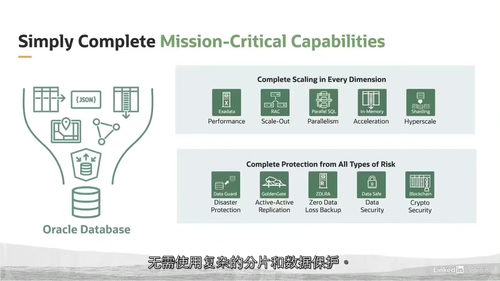 [中字] Oracle 云基础设施数据基础课程（中文字幕英文