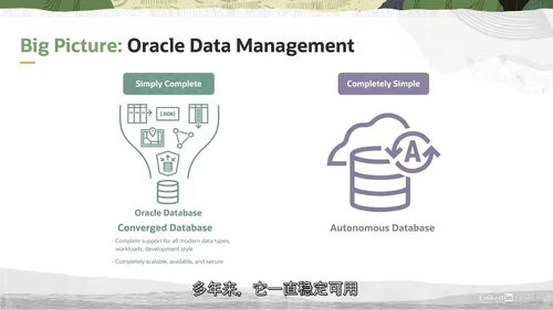 [中字] Oracle 云基础设施数据基础课程（中文字幕英文