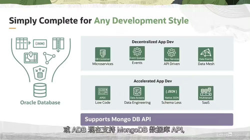 [中字] Oracle 云基础设施数据基础课程（中文字幕英文