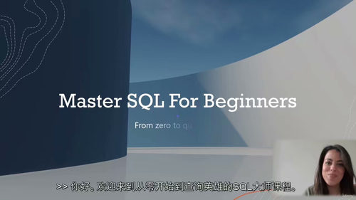 [中字] SQL 入门到精通：从零开始成为查询高手（中文字幕