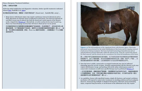 马匹急诊分诊指南 (双语对照版电子书)