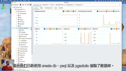 [中字] PostgreSQL 与 PostGIS 全方位实