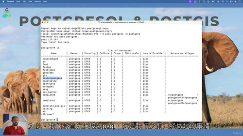 [中字] PostgreSQL 与 PostGIS 全方位实