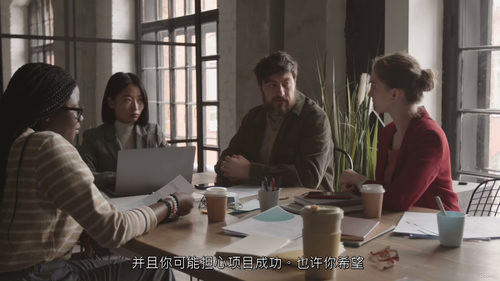 [中字] PMP - 项目沟通管理课程（中文字幕英文视频教程