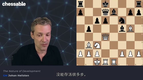 [中字] 国际象棋开局策略精通：约翰・赫尔斯滕大师课程（中文