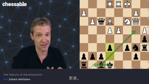 [中字] 国际象棋开局策略精通：约翰・赫尔斯滕大师课程（中文