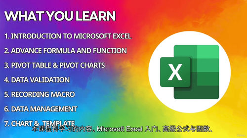 Excel 高级公式、函数与 VBA 宏精通课程(中文字幕