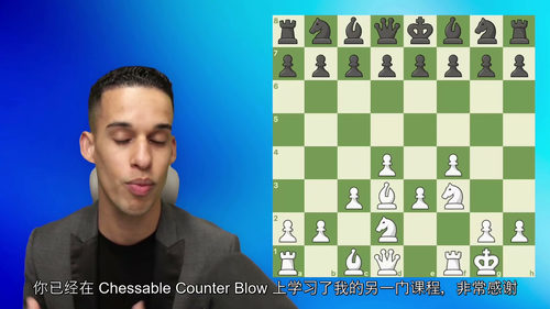 先发制人:国际象棋初学者的战斗性石墙进攻指南(中文字幕英文视