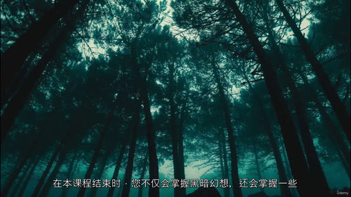 黑暗幻梦：新手也能驾驭的暗黑小说创作指南（中文字幕英文视频教