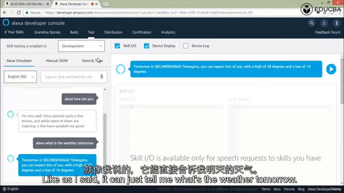 精通 Alexa 技能开发：从入门到实战的全方位指南（中文字