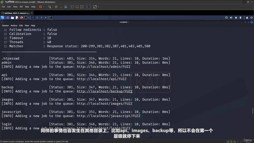 FFUF实用指南:Web安全测试的核心利器 (英文课程中文字幕)