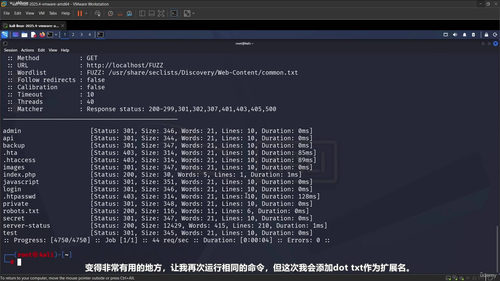 FFUF实用指南:Web安全测试的核心利器 (英文课程中文字幕)