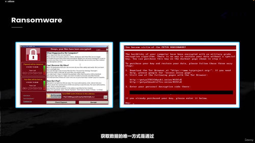 网络安全意识培训:数字时代的职场必修课 (英文课程中文字幕)