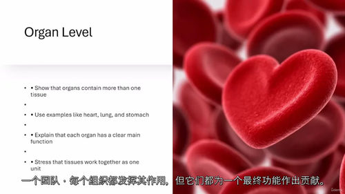 人体生理学视频教程(中文字幕)