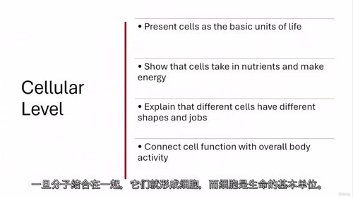 人体生理学视频教程(中文字幕)