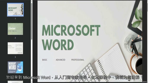Microsoft Word 从入门到精通:全面掌握文档处理