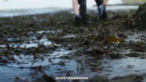 企业有意识消费：ESG与循环经济实战课 (英文课程中文字幕)