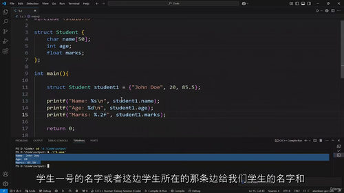 C与C++零基础入门到精通实战教程(英文视频中文外挂字幕教程