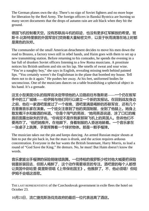 天际之上:纳粹欧洲的英雄主义与重生 马蒂·弗里德曼 (中英对