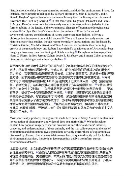 搁浅的鲸鱼:16世纪安特卫普的图像研究 瑞安·E·格雷格 (