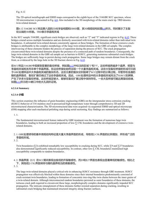 奥氏体合金的晶界工程:聚焦于3D表征的核材 (中英对照电子书)
