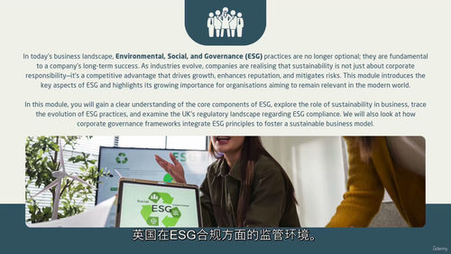 ESG英文视频教程（中字）
