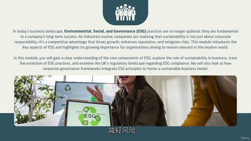 ESG英文视频教程（中字）