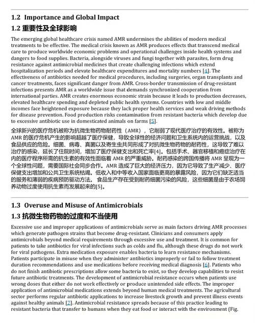 利用纳米酶应对抗菌药物耐药性 (中英双语电子书)