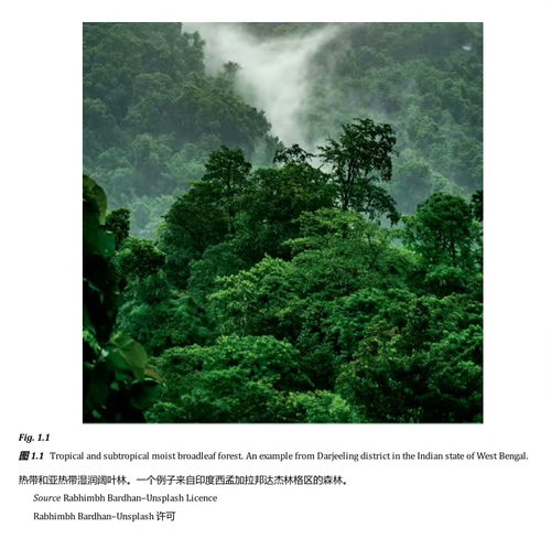 保护生物地理学与森林管理:探索人与自然互动的复杂性 (中英双