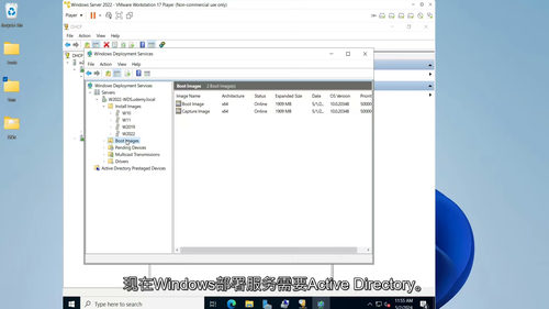 Server 2022 WDS实操教程