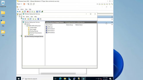 Server 2022 WDS实操教程