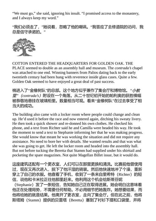 美第奇归来 史蒂夫·贝里 （中英对照电子书）