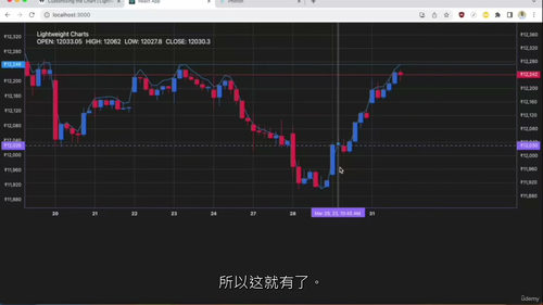 完整轻量图表开发实战训练营——从基础到进阶 (英文视频中文外