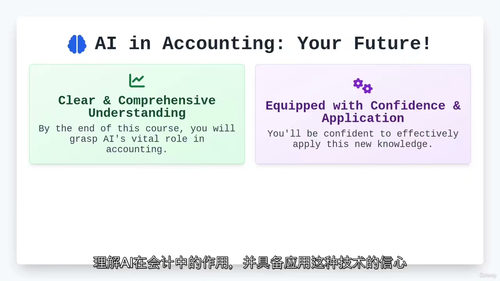 人工智能在会计中的应用 —— 专业人员完全指南 (中文字幕