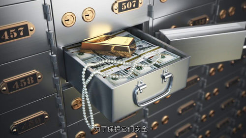 遗失的艺术:失踪杰作背后的故事 (中文字幕英文视频教程)