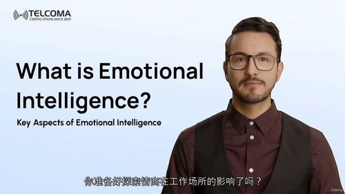 情商精通：从自我到领导力